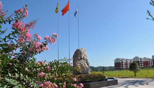 厂区实景